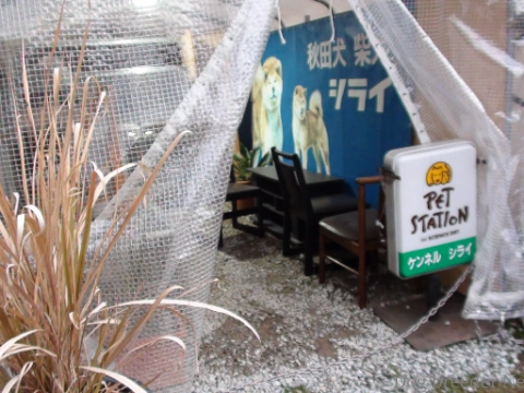 Kennel Shirai signboard